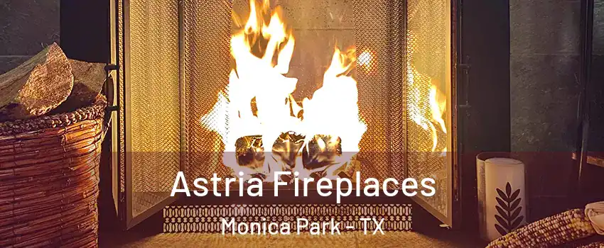 Astria Fireplaces Monica Park - TX