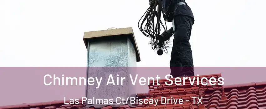 Chimney Air Vent Services Las Palmas Ct/Biscay Drive - TX