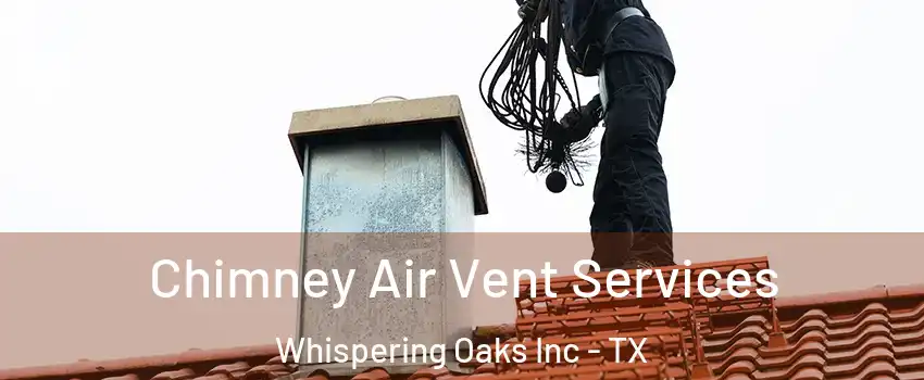 Chimney Air Vent Services Whispering Oaks Inc - TX