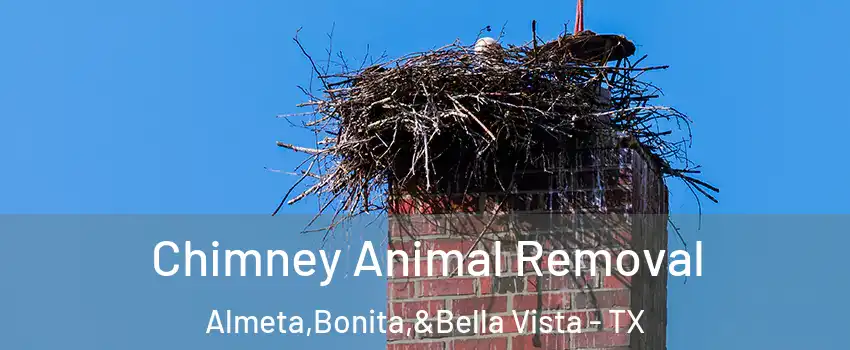 Chimney Animal Removal Almeta,Bonita,&Bella Vista - TX