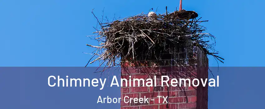 Chimney Animal Removal Arbor Creek - TX