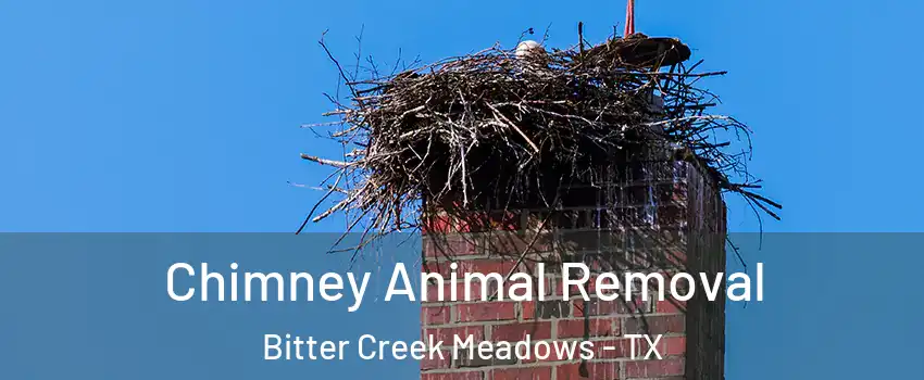 Chimney Animal Removal Bitter Creek Meadows - TX