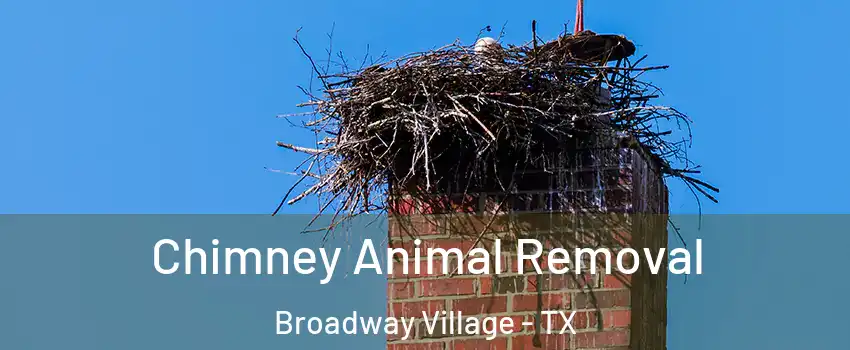 Chimney Animal Removal Broadway Village - TX