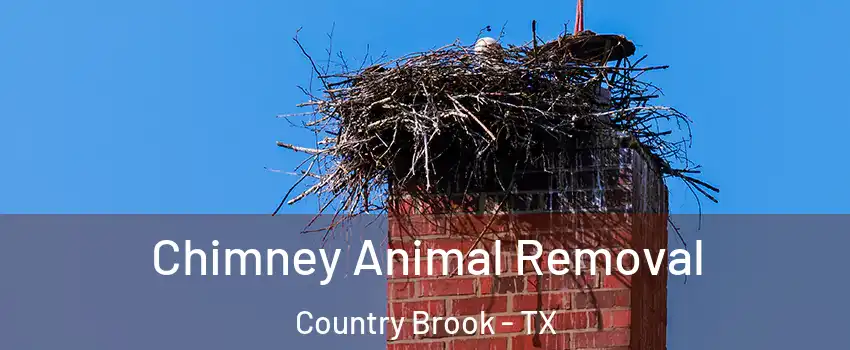 Chimney Animal Removal Country Brook - TX