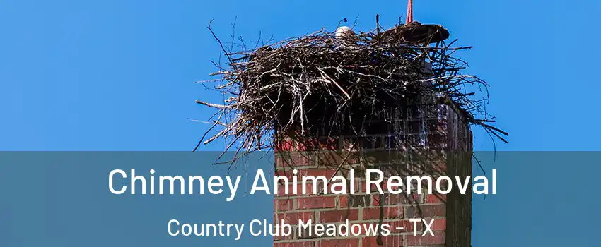 Chimney Animal Removal Country Club Meadows - TX