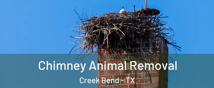 Chimney Animal Removal Creek Bend - TX