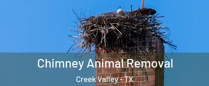 Chimney Animal Removal Creek Valley - TX