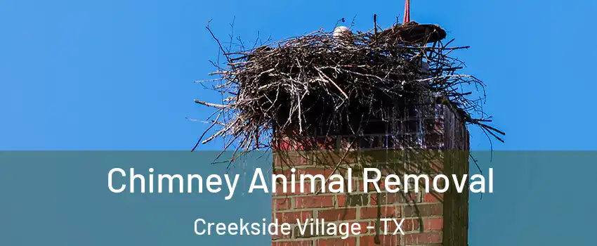 Chimney Animal Removal Creekside Village - TX