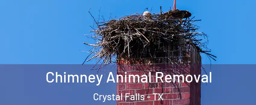 Chimney Animal Removal Crystal Falls - TX