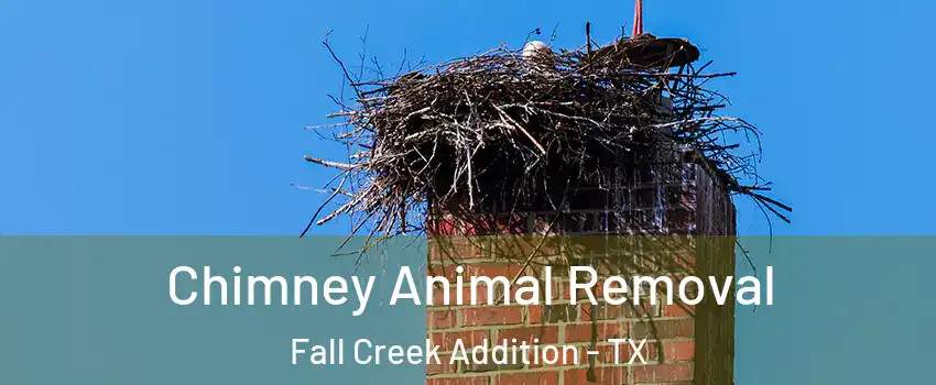 Chimney Animal Removal Fall Creek Addition - TX