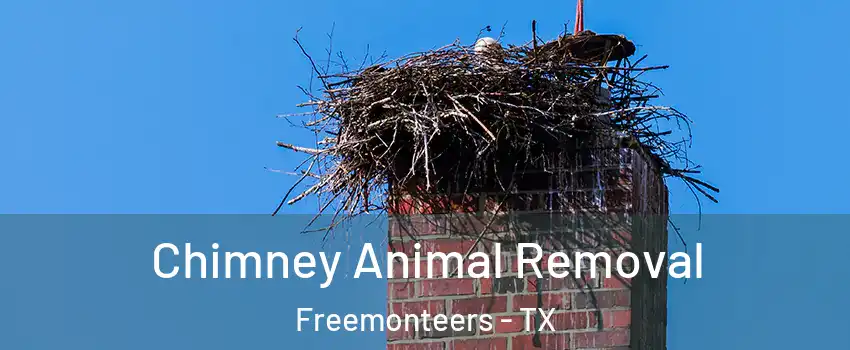 Chimney Animal Removal Freemonteers - TX