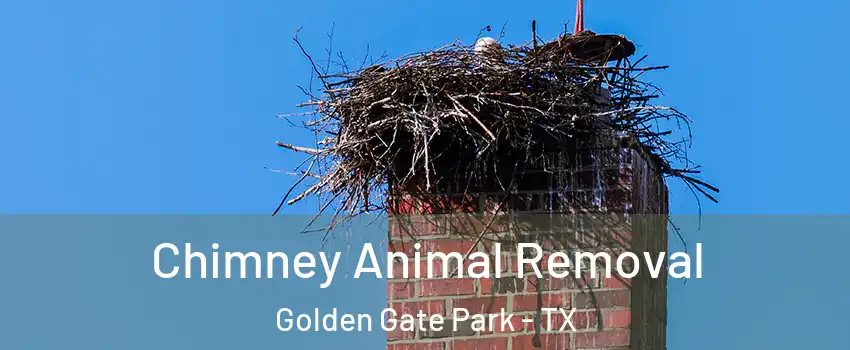 Chimney Animal Removal Golden Gate Park - TX