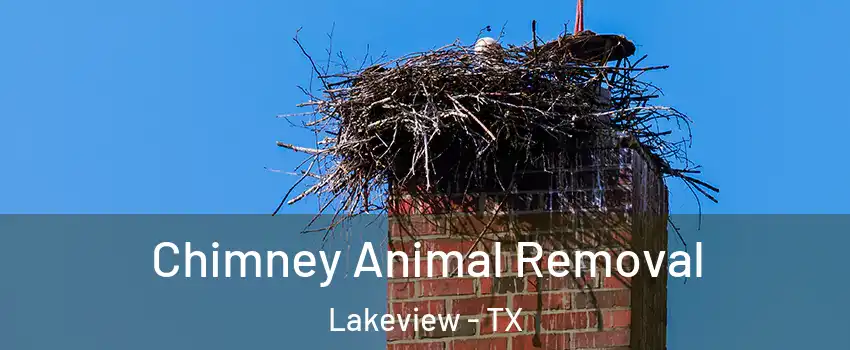 Chimney Animal Removal Lakeview - TX