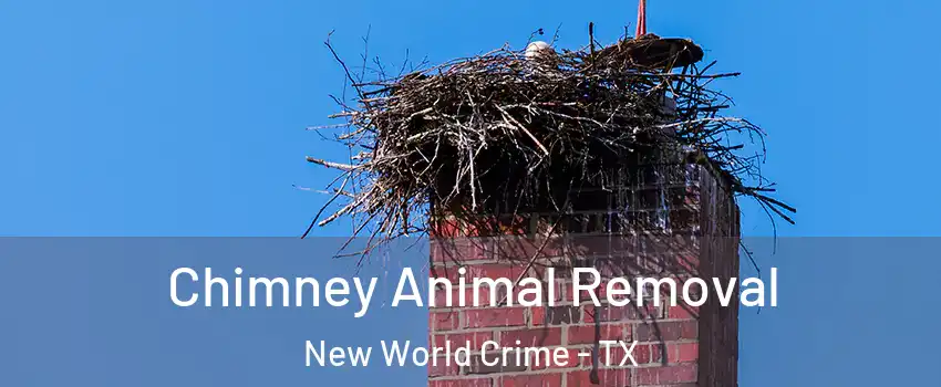 Chimney Animal Removal New World Crime - TX