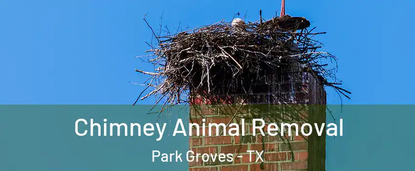 Chimney Animal Removal Park Groves - TX