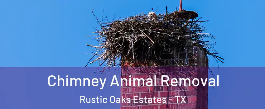 Chimney Animal Removal Rustic Oaks Estates - TX