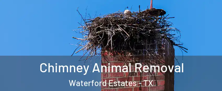 Chimney Animal Removal Waterford Estates - TX