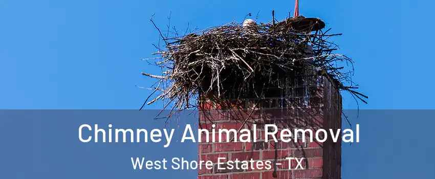 Chimney Animal Removal West Shore Estates - TX