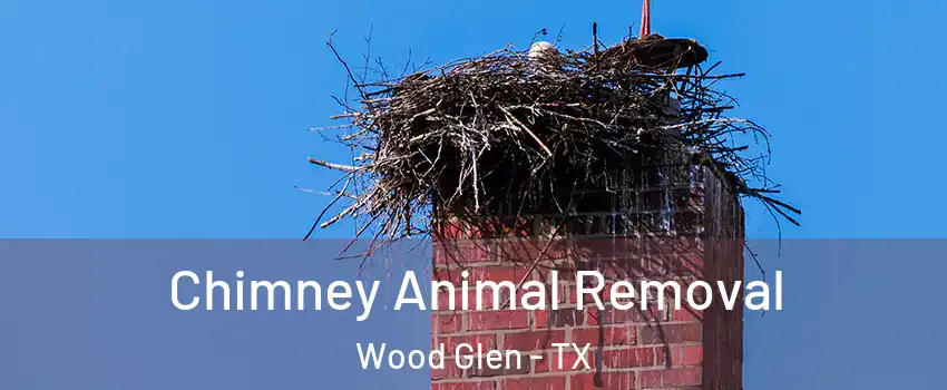 Chimney Animal Removal Wood Glen - TX