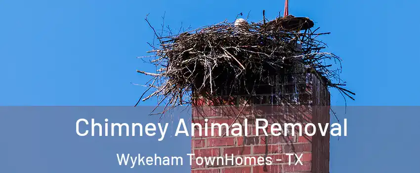 Chimney Animal Removal Wykeham TownHomes - TX