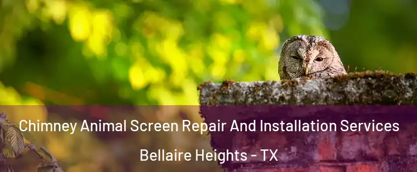 Chimney Animal Screen Repair And Installation Services Bellaire Heights - TX