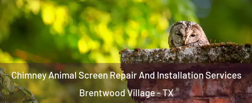 Chimney Animal Screen Repair And Installation Services Brentwood Village - TX