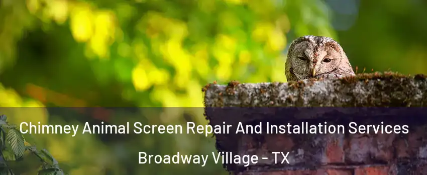 Chimney Animal Screen Repair And Installation Services Broadway Village - TX