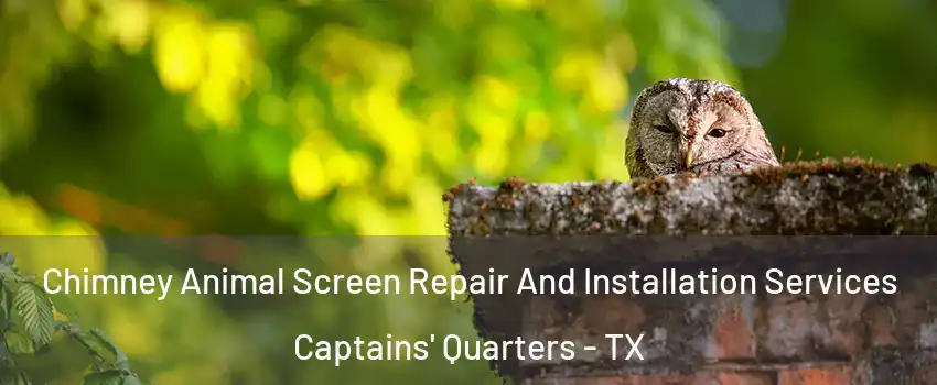 Chimney Animal Screen Repair And Installation Services Captains' Quarters - TX