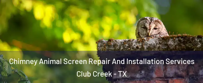 Chimney Animal Screen Repair And Installation Services Club Creek - TX