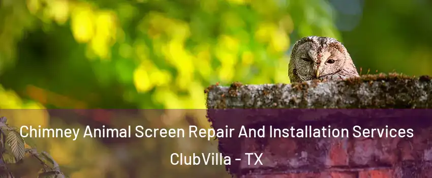 Chimney Animal Screen Repair And Installation Services ClubVilla - TX