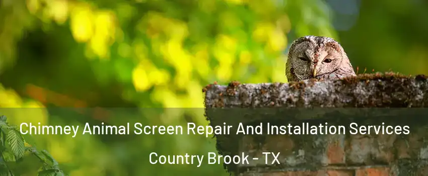 Chimney Animal Screen Repair And Installation Services Country Brook - TX