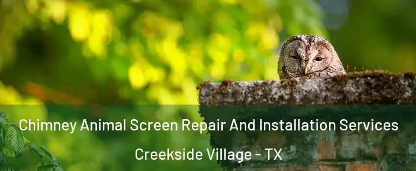 Chimney Animal Screen Repair And Installation Services Creekside Village - TX