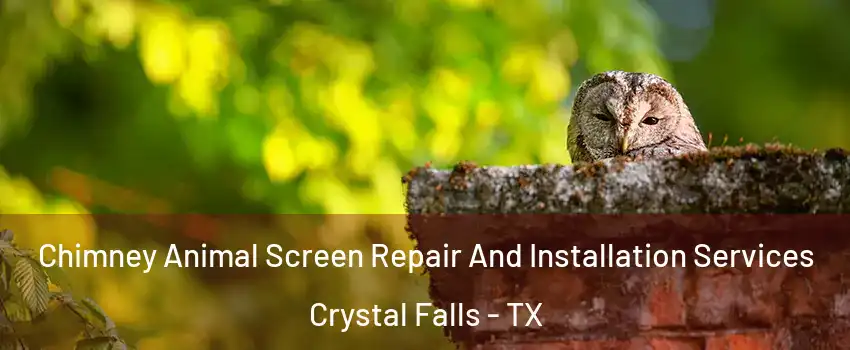 Chimney Animal Screen Repair And Installation Services Crystal Falls - TX