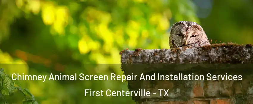 Chimney Animal Screen Repair And Installation Services First Centerville - TX