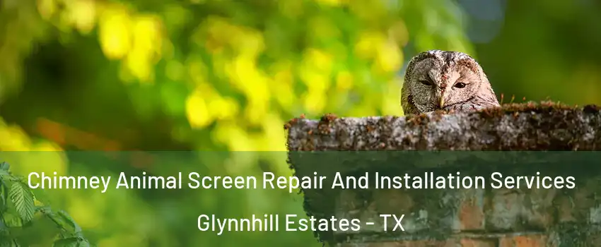 Chimney Animal Screen Repair And Installation Services Glynnhill Estates - TX