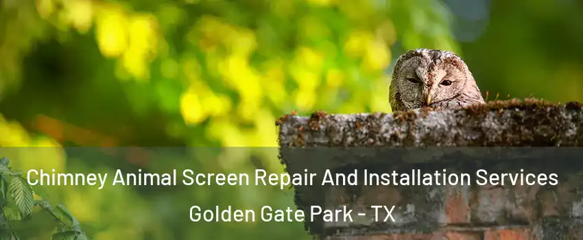 Chimney Animal Screen Repair And Installation Services Golden Gate Park - TX