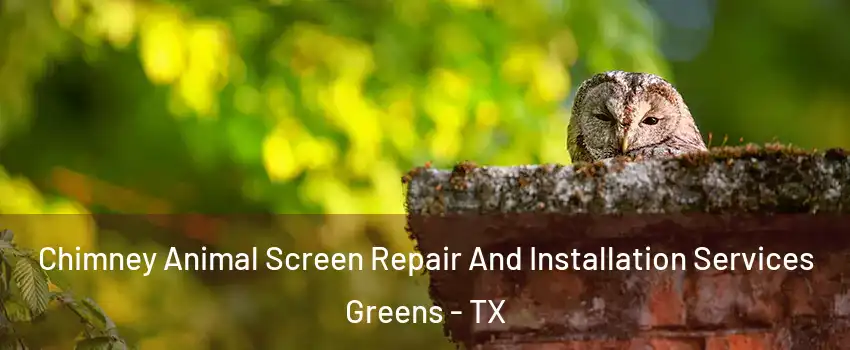 Chimney Animal Screen Repair And Installation Services Greens - TX