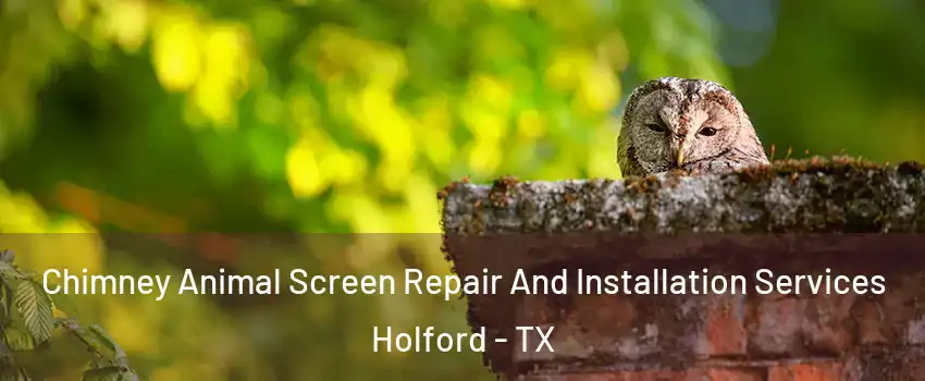 Chimney Animal Screen Repair And Installation Services Holford - TX