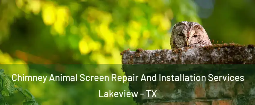 Chimney Animal Screen Repair And Installation Services Lakeview - TX