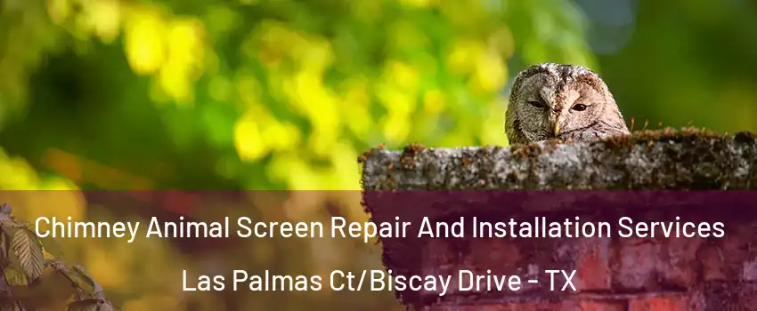 Chimney Animal Screen Repair And Installation Services Las Palmas Ct/Biscay Drive - TX