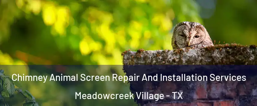 Chimney Animal Screen Repair And Installation Services Meadowcreek Village - TX