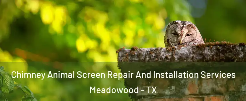 Chimney Animal Screen Repair And Installation Services Meadowood - TX