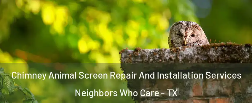 Chimney Animal Screen Repair And Installation Services Neighbors Who Care - TX