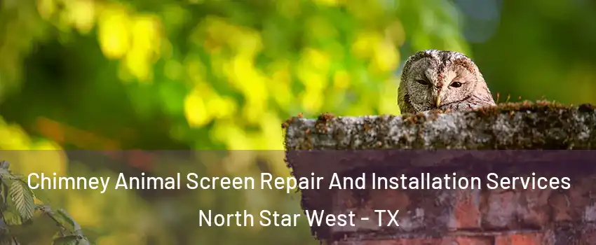 Chimney Animal Screen Repair And Installation Services North Star West - TX