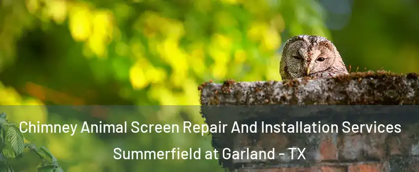 Chimney Animal Screen Repair And Installation Services Summerfield at Garland - TX