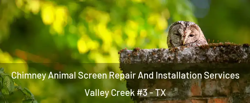 Chimney Animal Screen Repair And Installation Services Valley Creek #3 - TX