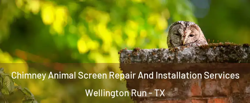 Chimney Animal Screen Repair And Installation Services Wellington Run - TX