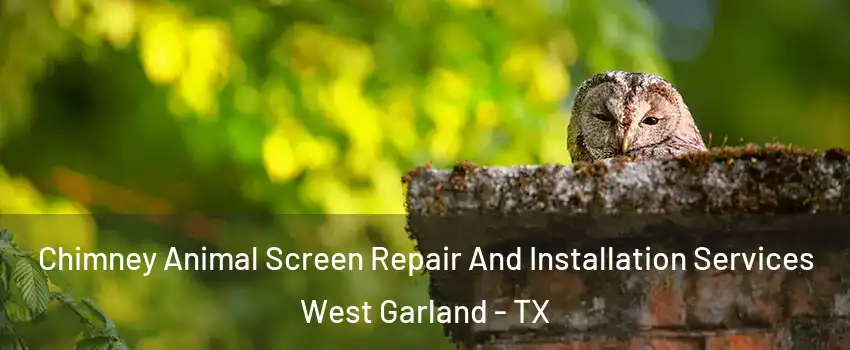 Chimney Animal Screen Repair And Installation Services West Garland - TX