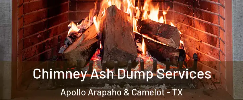 Chimney Ash Dump Services Apollo Arapaho & Camelot - TX