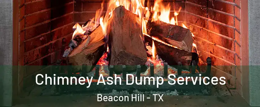 Chimney Ash Dump Services Beacon Hill - TX